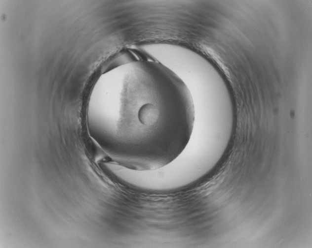 X0000088740443200706141707