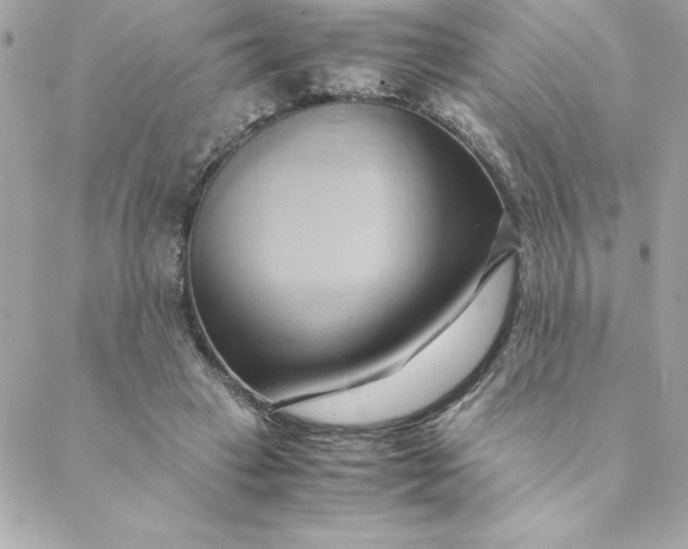 X0000088740449200706141707