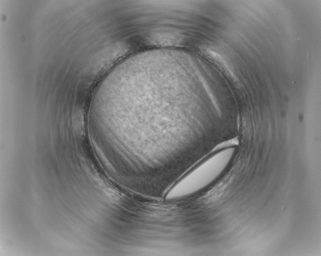 X0000088740453200706141707