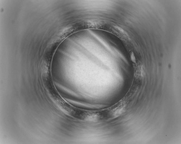 X0000088740456200706141707