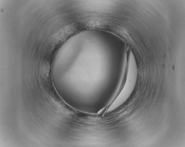 X0000088740458200706141707