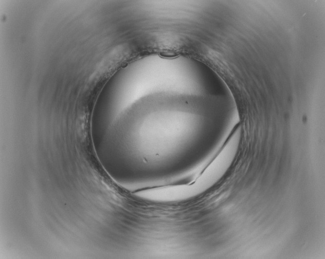 X0000088740462200706141707