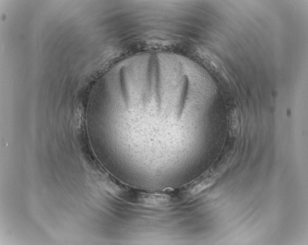 X0000088740463200706141707
