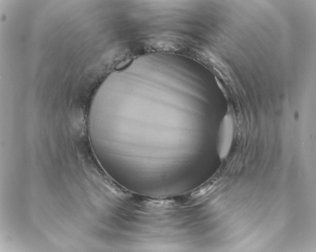 X0000088740465200706141707