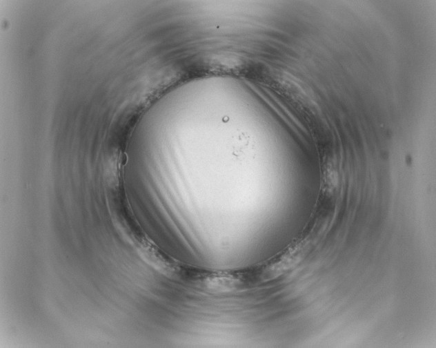 X0000088740468200706141707