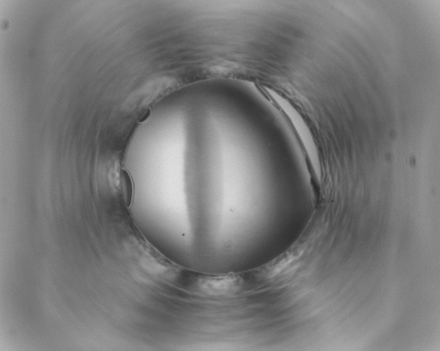 X0000088740479200706141708