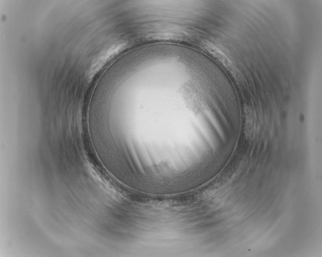 X0000088740482200706141707