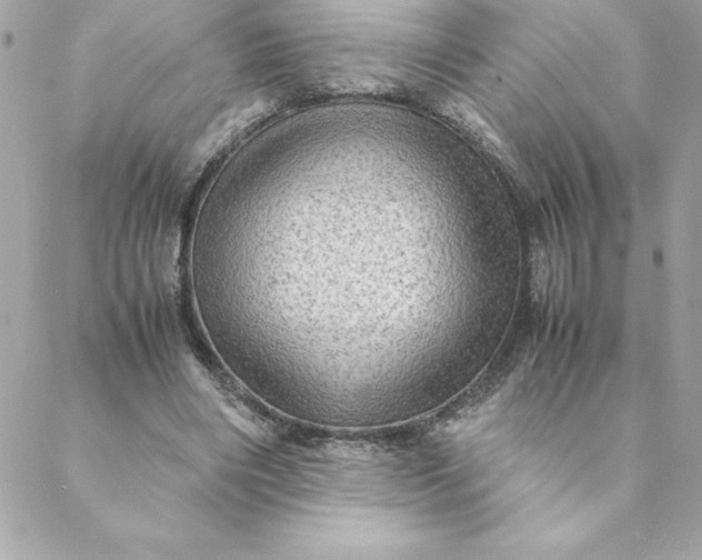 X0000088740490200706141707
