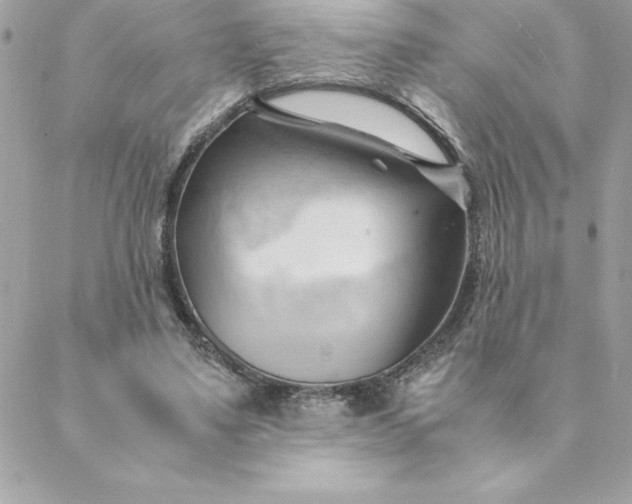 X0000088740491200706141707