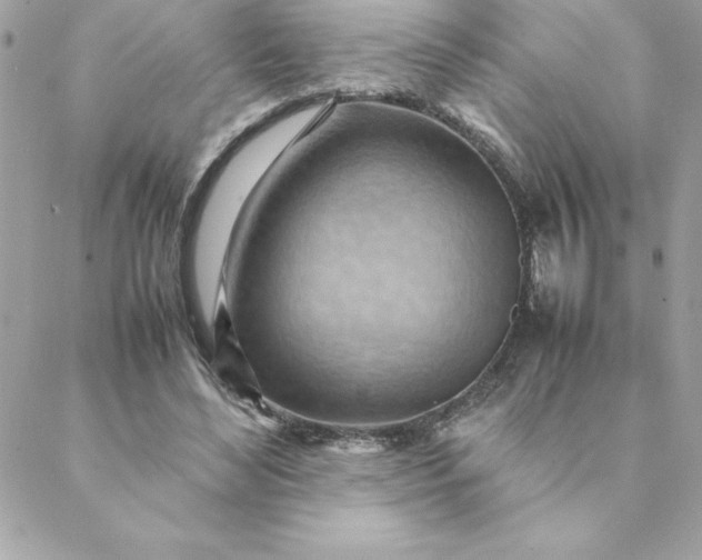 X0000088740492200706141707