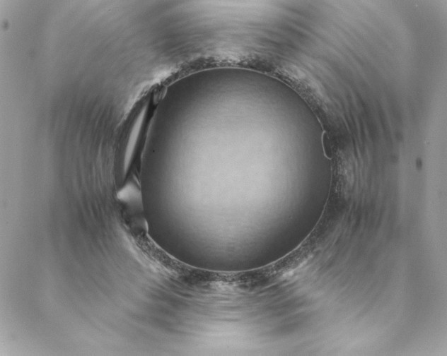 X0000088740496200706141707