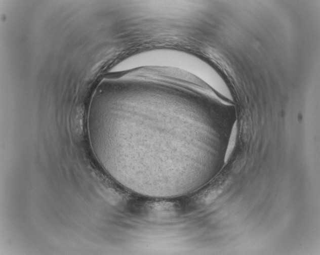 X0000088740501200706141707