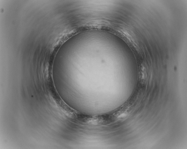 X0000088740504200706141706