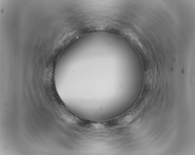 X0000088740509200706141706