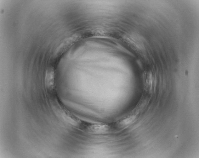 X0000088740526200706141706
