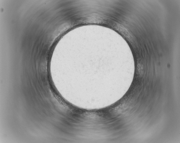 X0000088740534200706141705
