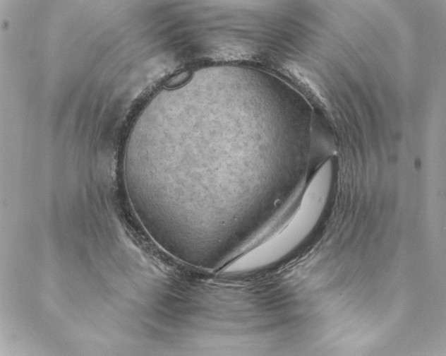 X0000088740539200706141705