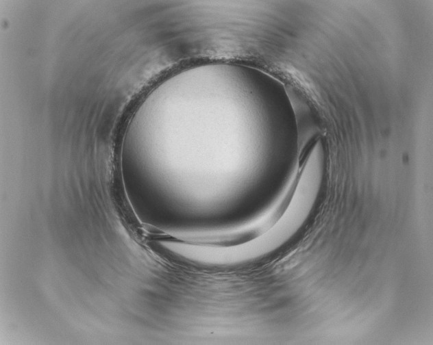 X0000088740540200706141705