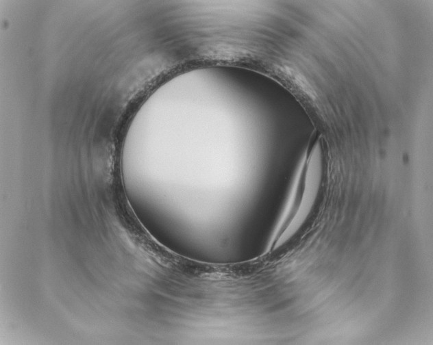 X0000088740544200706141706