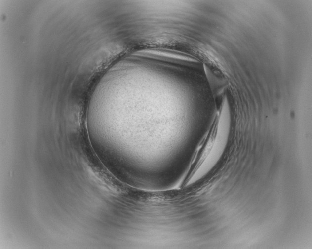 X0000088740546200706141706