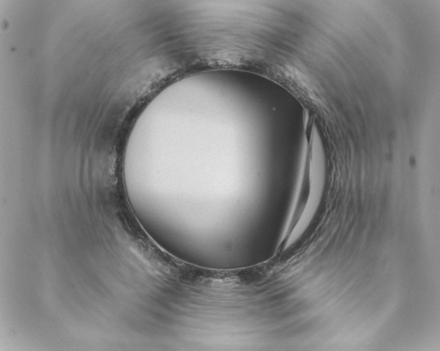 X0000088740548200706141706