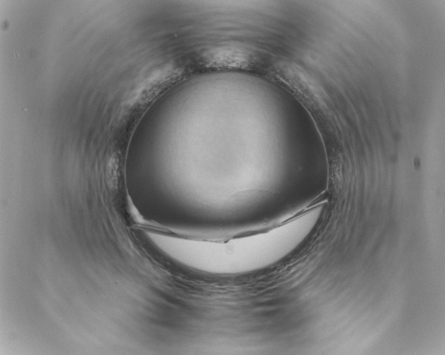 X0000088740551200706141706