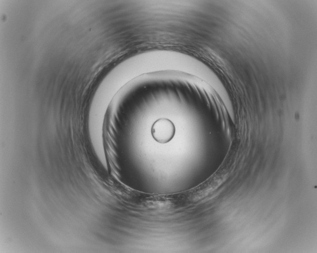 X0000088740552200706141706