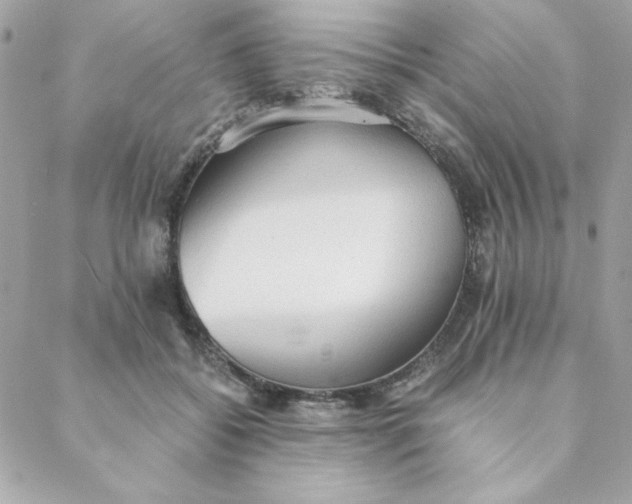 X0000088740556200706141706