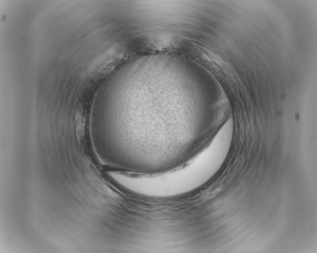 X0000088740558200706141706