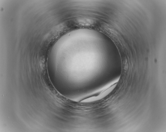 X0000088740559200706141706