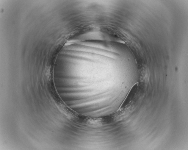 X0000088740560200706141706
