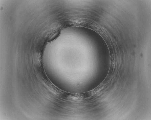X0000088740563200706141706