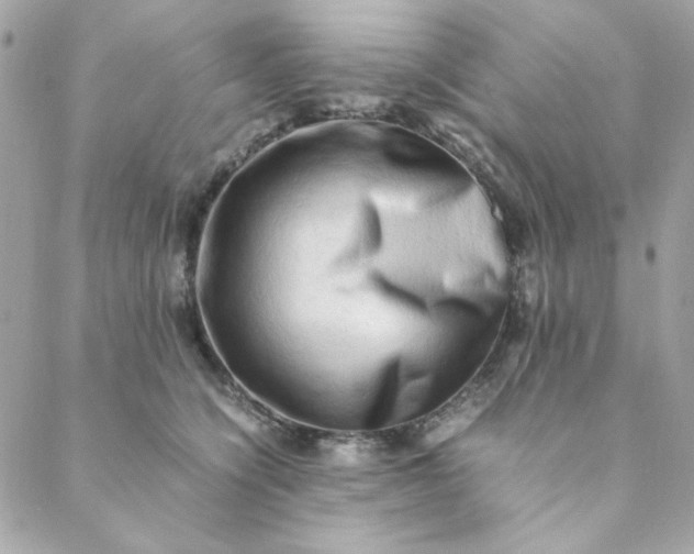 X0000088740564200706141706