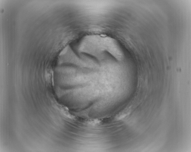 X0000088740576200706141706