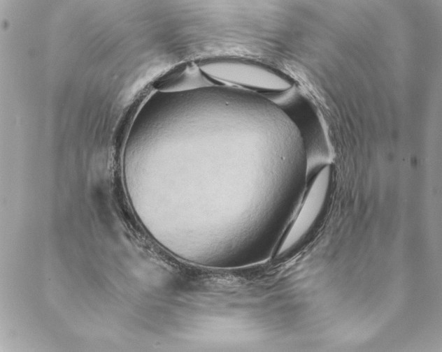 X0000088740583200706141705