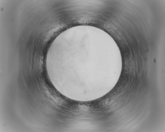 X0000088740592200706141705