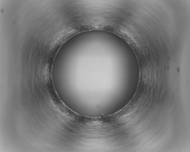 X0000088740594200706141705