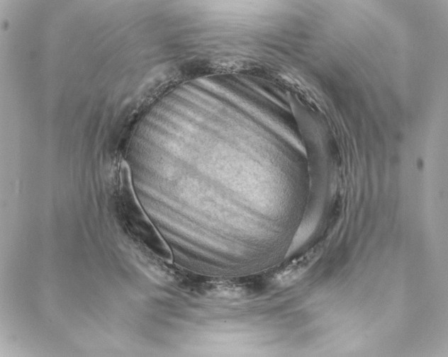 X0000088740601200706141705