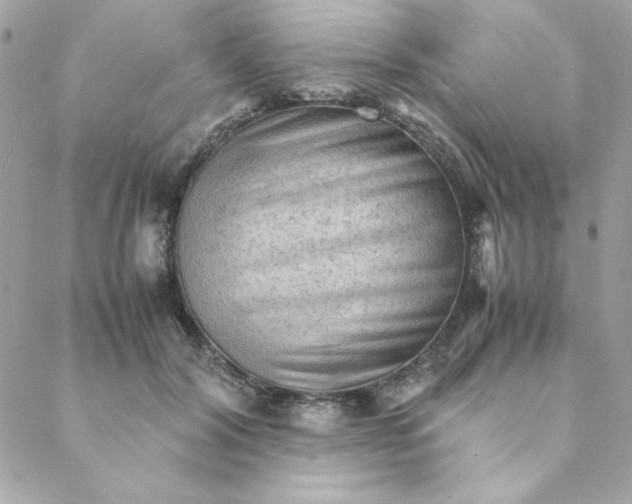 X0000088740604200706141705
