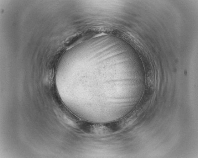 X0000088740605200706141705