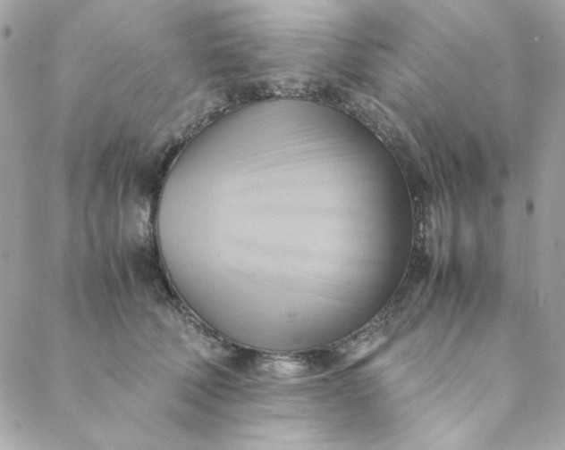 X0000088740610200706141705