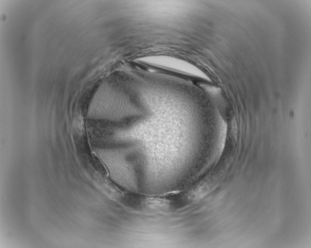 X0000088740617200706141705
