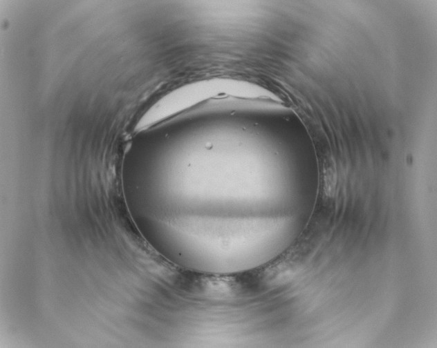 X0000088740618200706141705