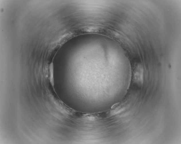X0000088740620200706141705