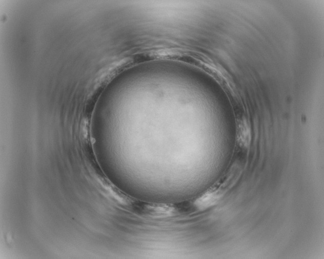 X0000088740621200706141705
