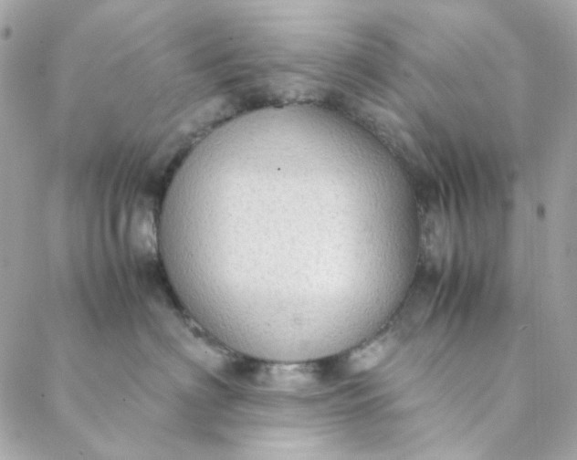 X0000088740622200706141705