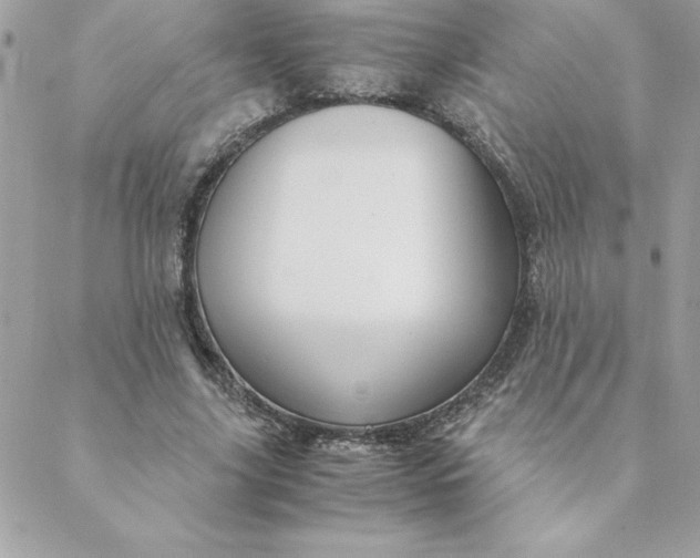X0000088740635200706141704