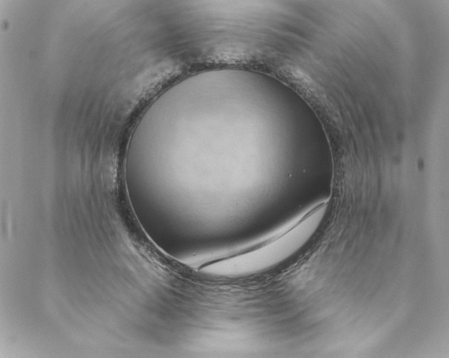 X0000088740640200706141704