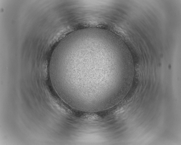 X0000088740642200706141704