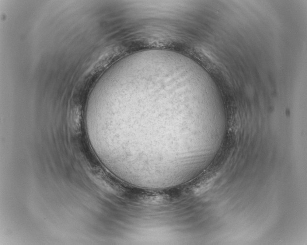 X0000088740646200706141704